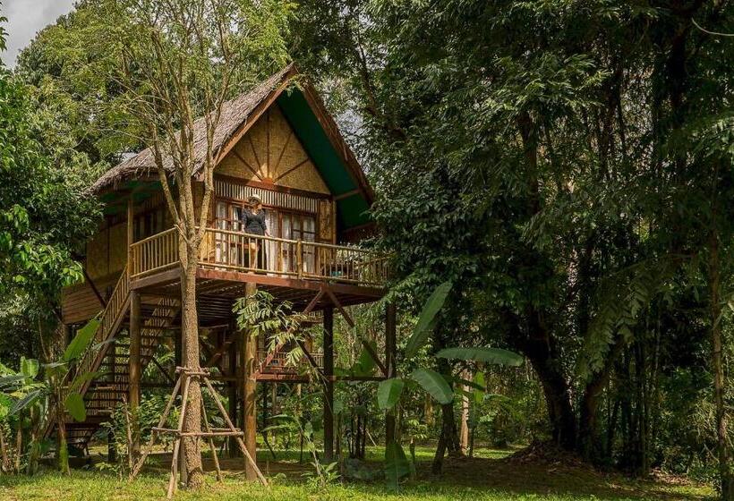 Номер Стандарт Трехместный, Our Jungle Camp   Eco Resort