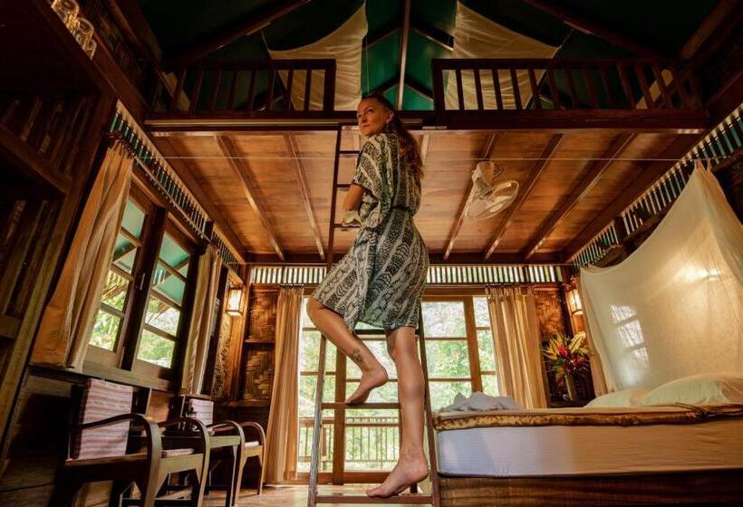 Номер Стандарт, Our Jungle Camp   Eco Resort