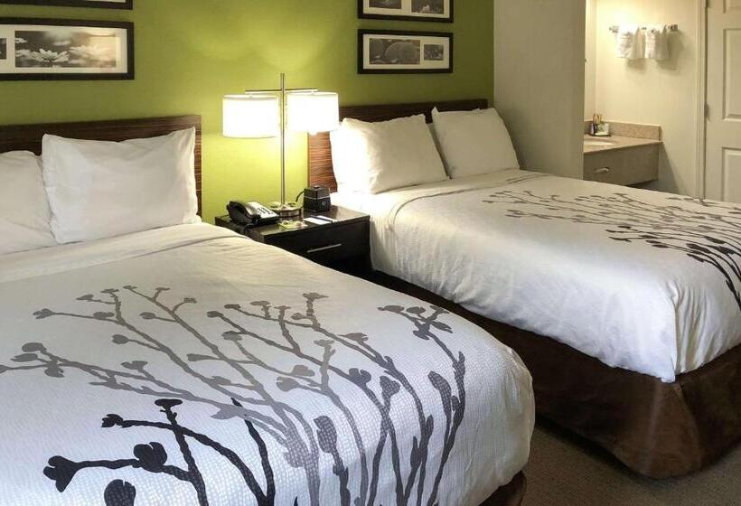 수피리어 룸, Sleep Inn