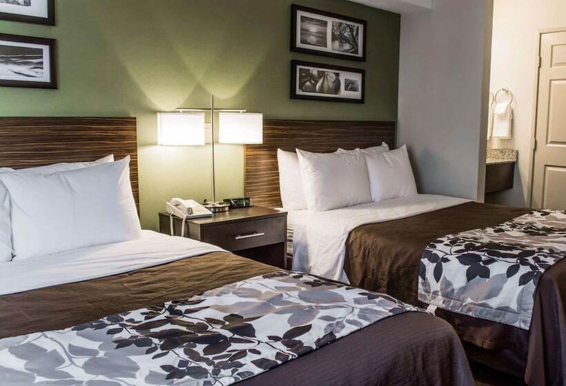 带2个双人床的标准工作室, Sleep Inn Richmond North