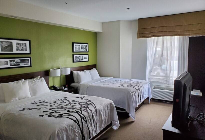 带2个双人床的标准工作室, Sleep Inn Richmond North