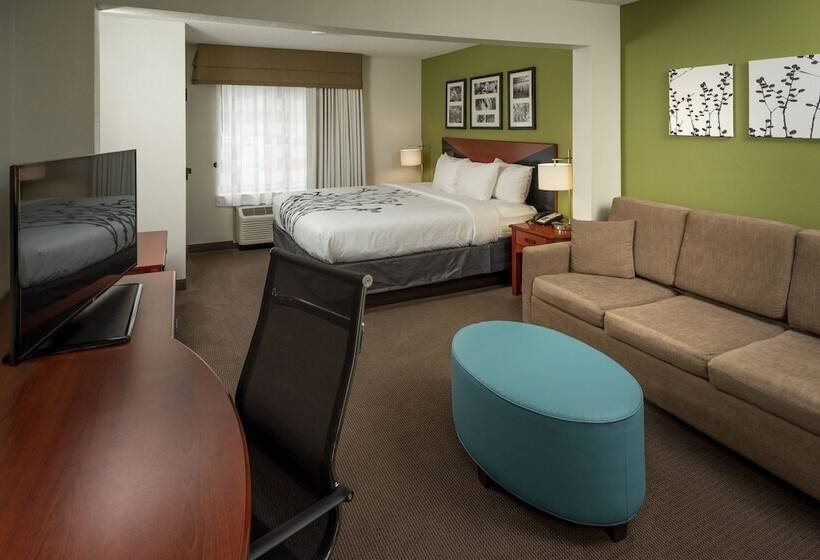 Номер Стандарт, Sleep Inn & Suites Cross Lanes  South Charleston