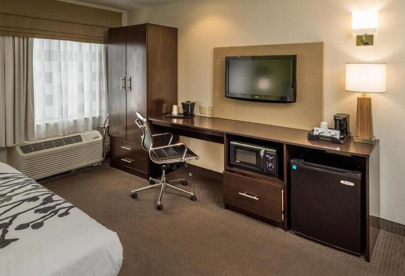 Номер Стандарт Адаптированный для Инвалидов, Sleep Inn & Suites Cross Lanes  South Charleston