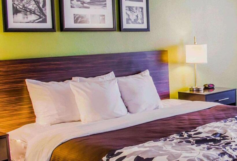Стандартный Номер Кровать Кинг, Sleep Inn & Suites Virginia Horse Center