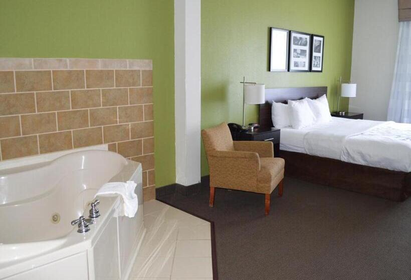 Люкс Кровать Кинг, Sleep Inn & Suites Virginia Horse Center