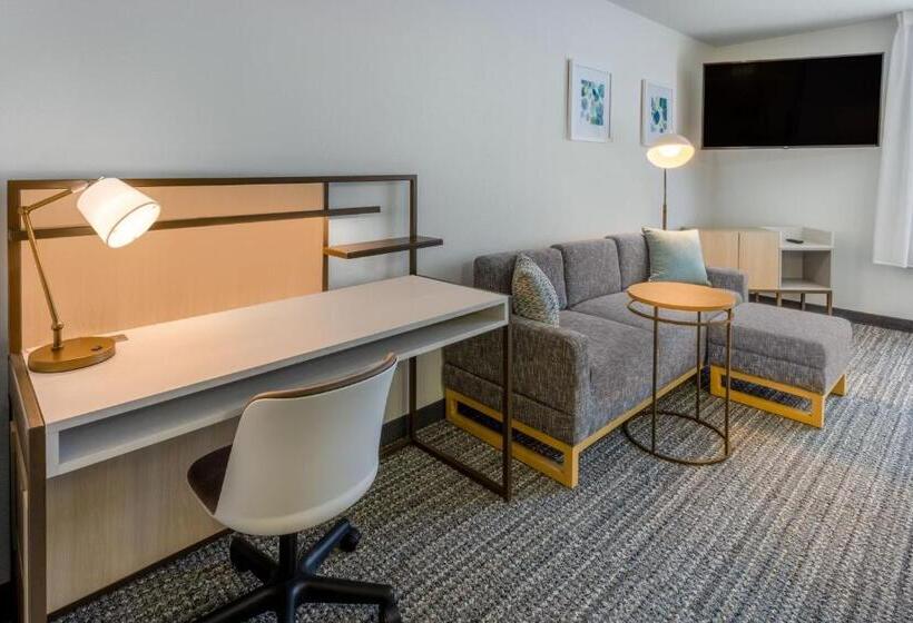 Студия Deluxe, Towneplace Suites New Orleans Metairie