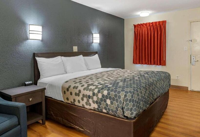 身障者適用キングサイズベッドルーム, Quality Inn & Suites