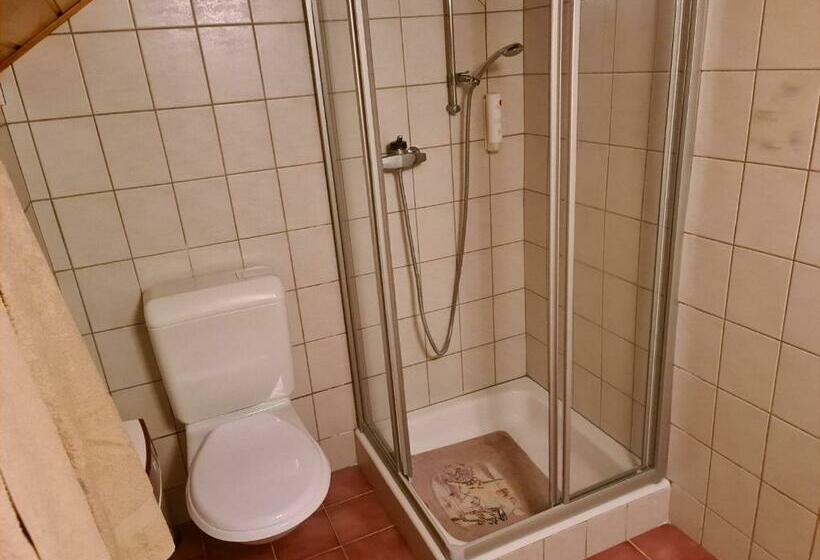 Номер Deluxe, Auberge De Ballens