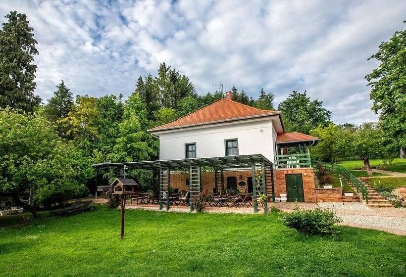 Номер Стандарт, Kosbor Panzió