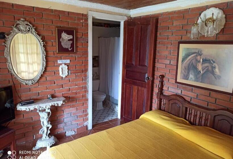 스탠다드 룸, Villa Monica