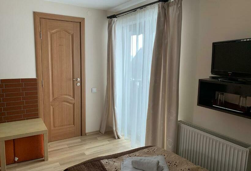 Habitació Estàndard, Pensiunea Haiduc Sacele Brasov