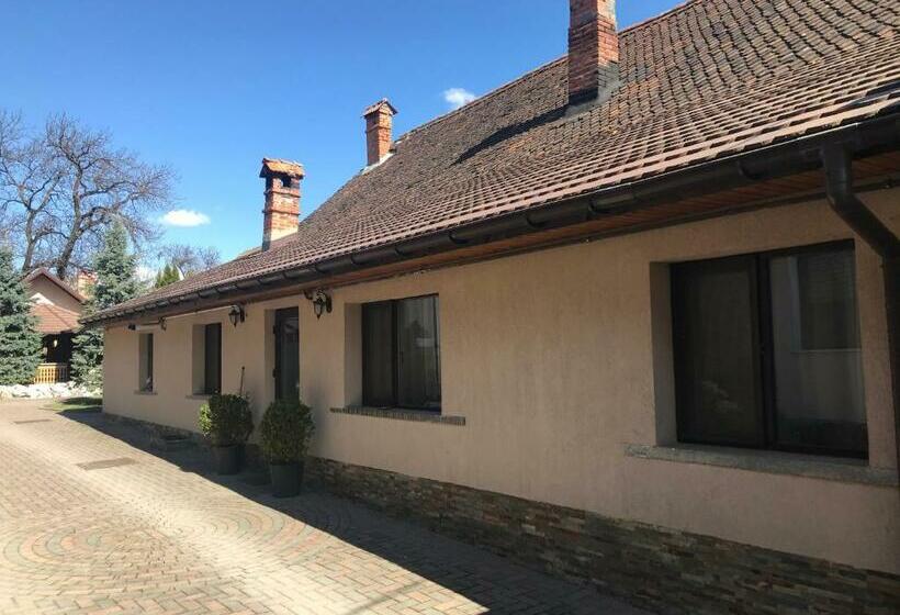 Apartament 2 Dormitoris, Pensiunea Haiduc Sacele Brasov
