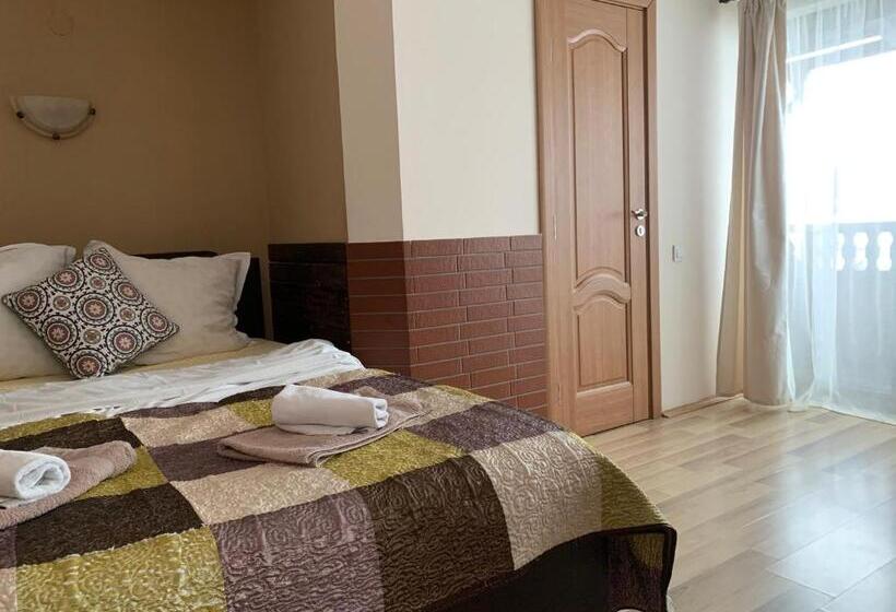Habitació Deluxe, Pensiunea Haiduc Sacele Brasov