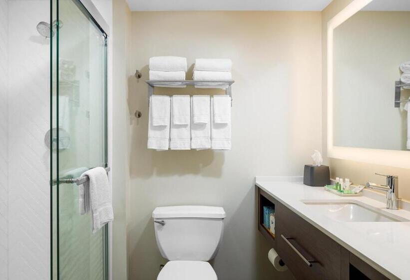 Suíte Executivo, Holiday Inn Cleveland, An Ihg