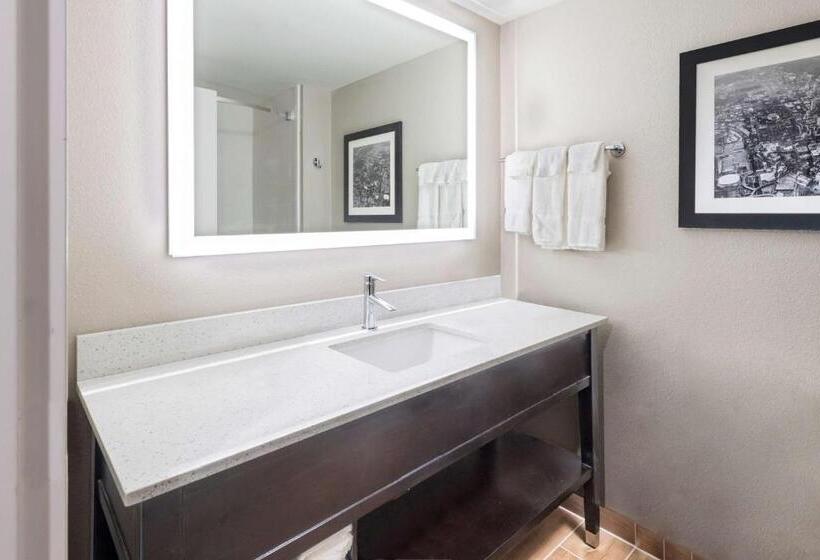 Quarto Deluxe, La Quinta By Wyndham Kennesaw