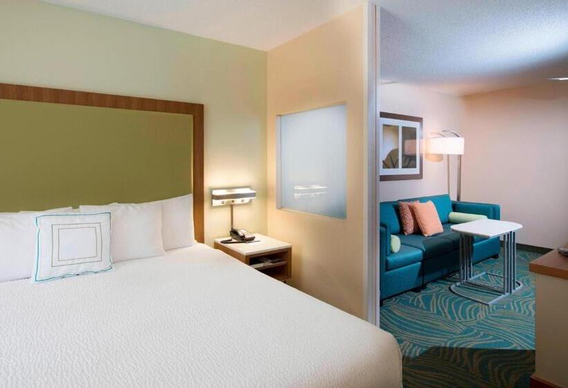 Люкс Кровать Кинг, Springhill Suites By Marriott Atlanta Alpharetta