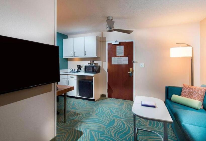 Люкс, Springhill Suites By Marriott Atlanta Alpharetta