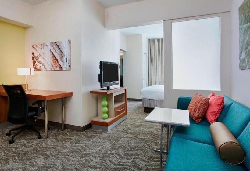 Suite King Size Bed, Springhill Suites By Marriott Chicago Schaumburg/woodfield Mall