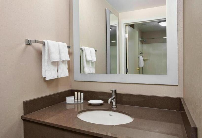 Lakosztály, Springhill Suites By Marriott Chicago Schaumburg/woodfield Mall