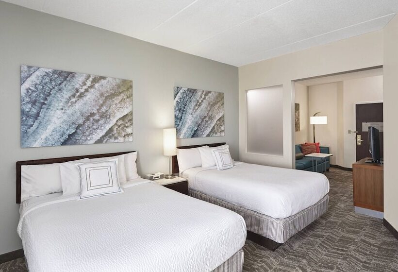 Mozgáskorlátozott Suite, Springhill Suites By Marriott Chicago Schaumburg/woodfield Mall