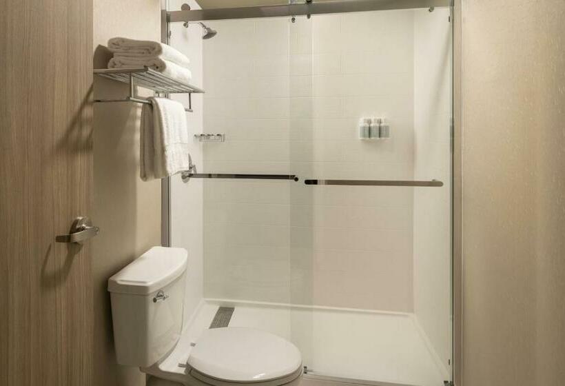 Suíte para Deficientes Físicos, Springhill Suites Fort Worth University