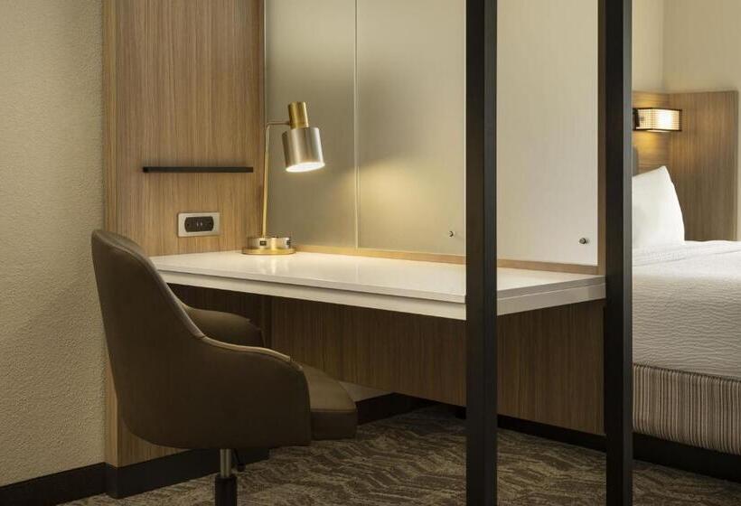 Suíte Executiva Cama king, Springhill Suites Fort Worth University