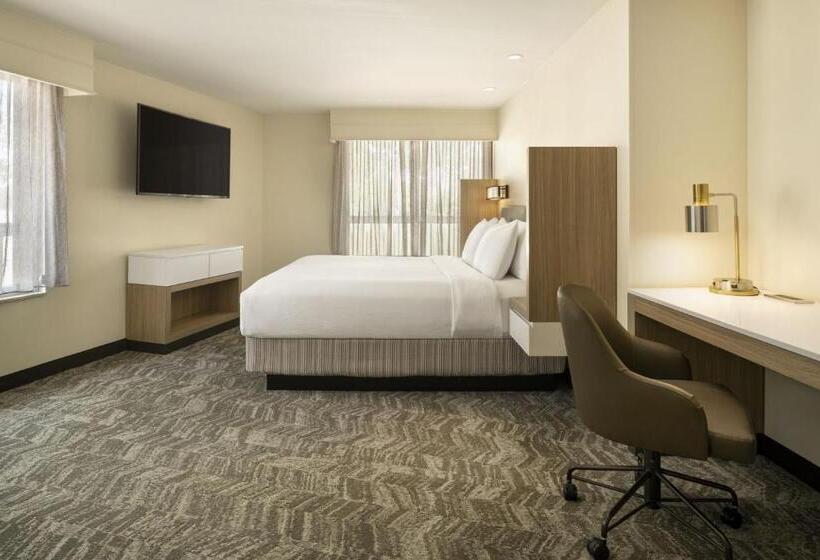 Suíte Cama King, Springhill Suites Fort Worth University