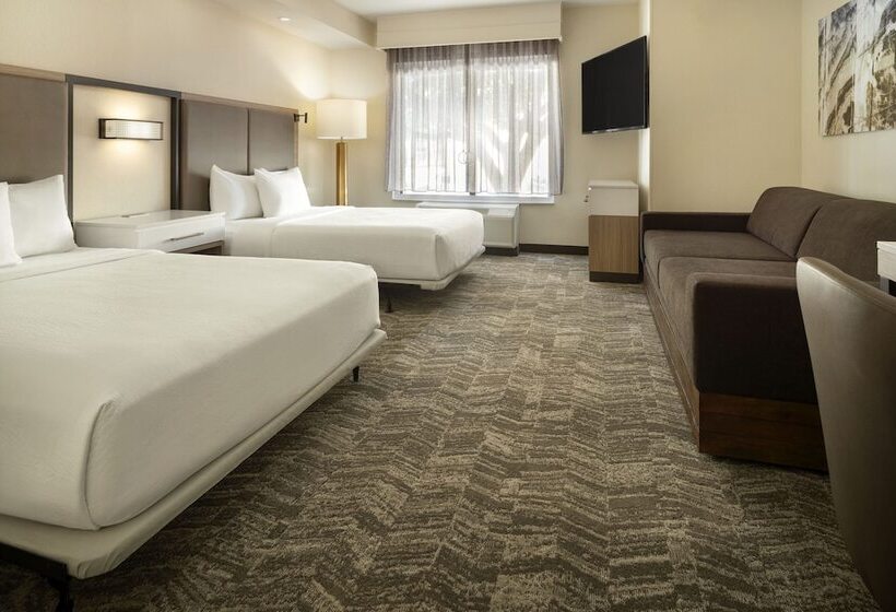 Suíte para Deficientes Físicos, Springhill Suites Fort Worth University