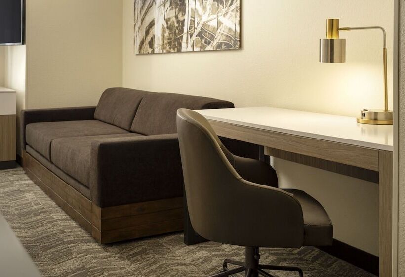 Suíte para Deficientes Físicos, Springhill Suites Fort Worth University