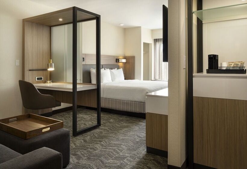 Suíte para Deficientes Físicos, Springhill Suites Fort Worth University