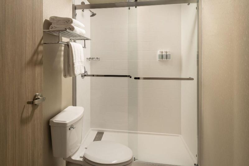 Suíte Cama King, Springhill Suites Fort Worth University
