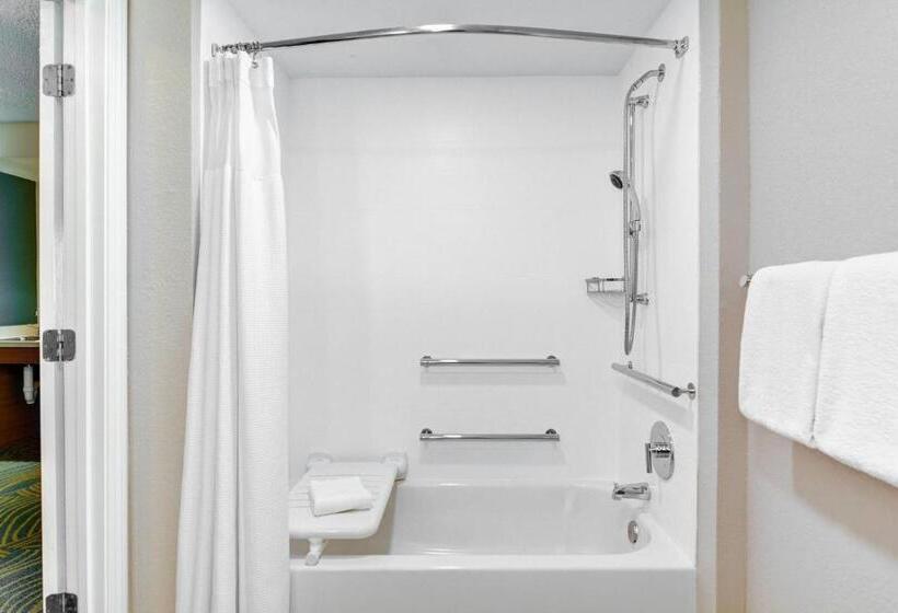 キングサイズベッドのスイートルーム, Springhill Suites Jacksonville