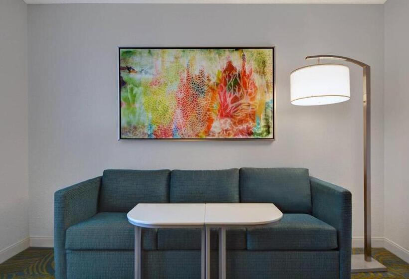 キングサイズベッドのスイートルーム, Springhill Suites Jacksonville