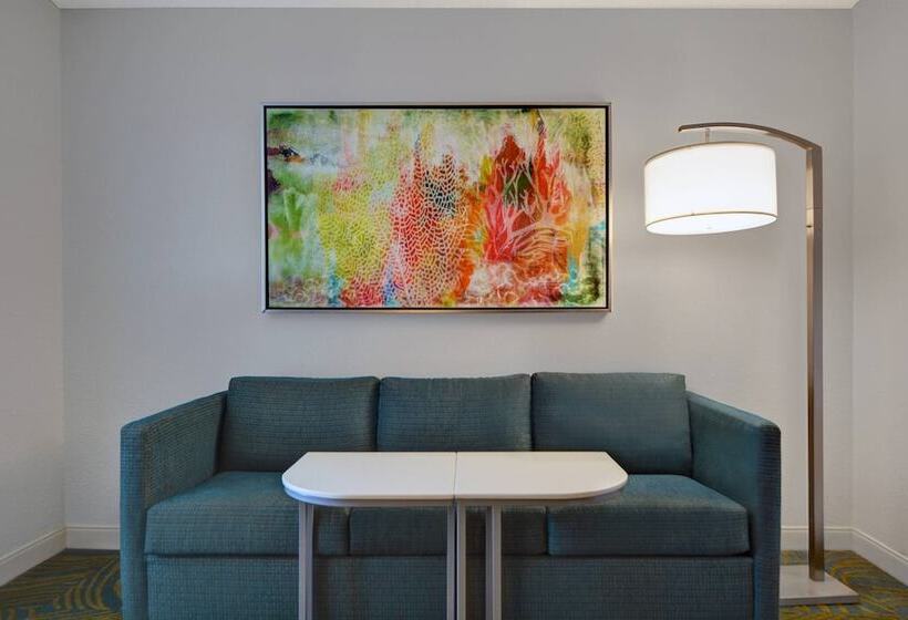 スイート, Springhill Suites Jacksonville