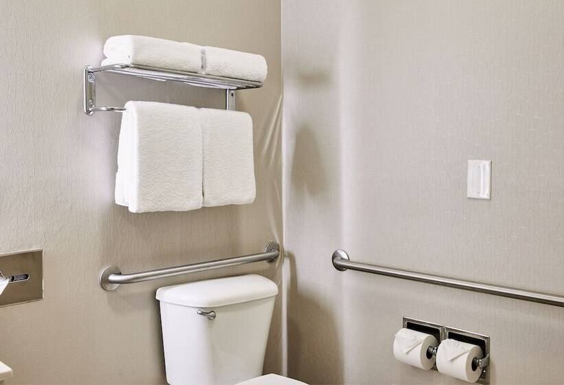 חדר סטודיו סטנדרד, Springhill Suites Phoenix Downtown