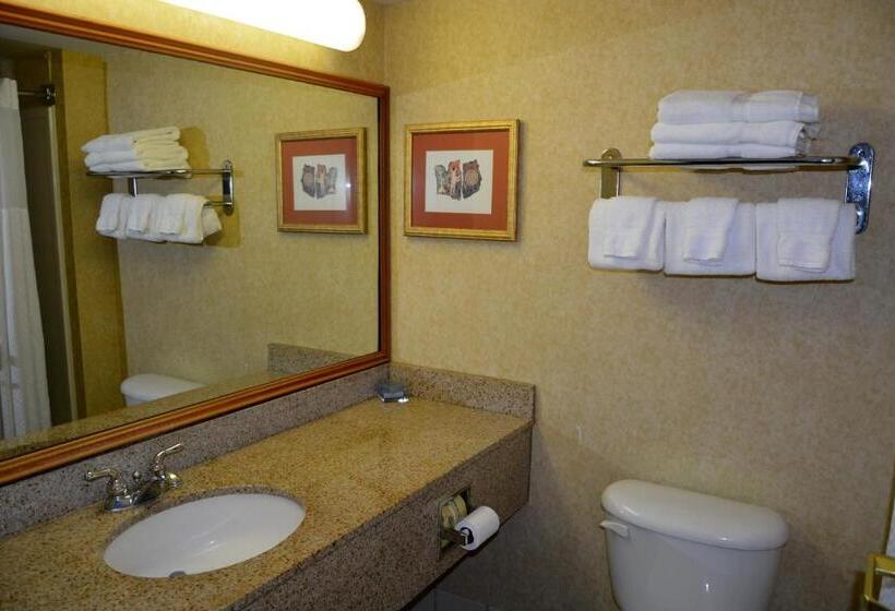 스위트 킹사이즈 침대, Wingate By Wyndham West Monroe