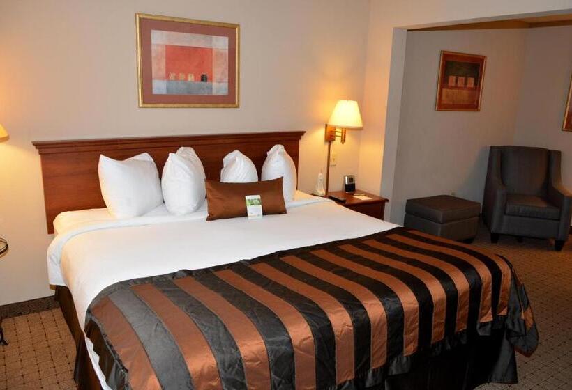 스탠다드 룸 킹사이즈 침대, Wingate By Wyndham West Monroe