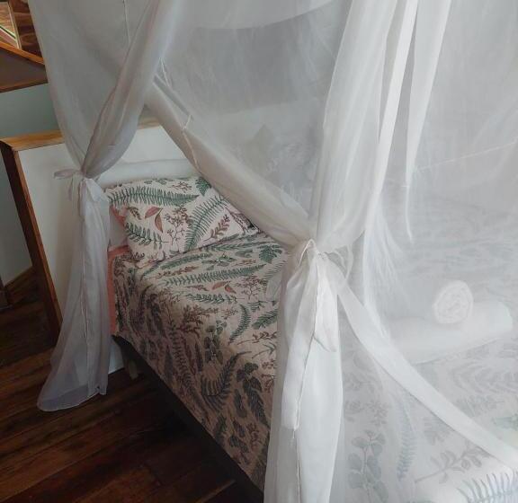 Семейный Номер Вид на Море, Calamari Baru