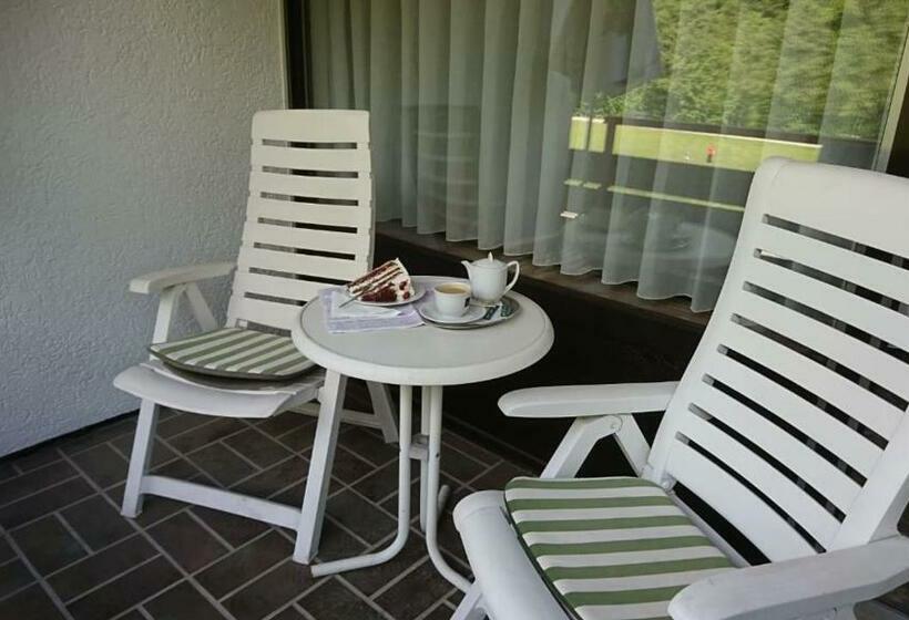 Номер Стандарт с Балконом, Café Blaich   Hotel Garni