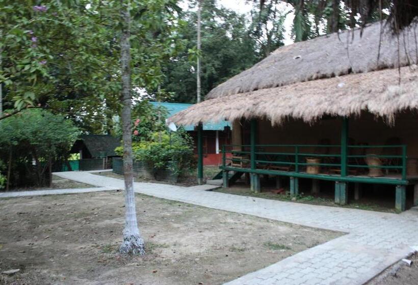 ファミリールーム, Nature Hunt Eco Camp