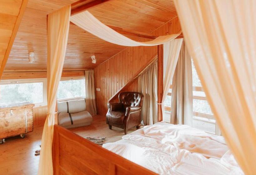 Стандартный Номер Кровать Кинг, Living In Delta   Casa De Vacanta
