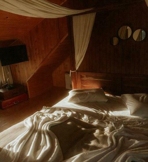 Стандартный Номер Кровать Кинг, Living In Delta   Casa De Vacanta