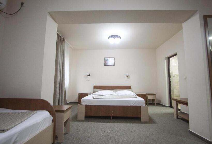 带1个卧室的公寓, Teju Hotels