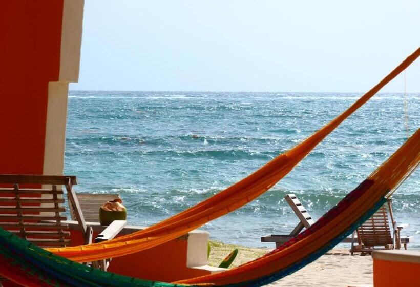 スタンダードバンガロー, Mayan Beach Garden