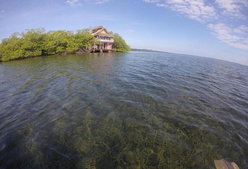 Бунгало Семейное Вид на Море, Urraca Monkey Island Eco Resort