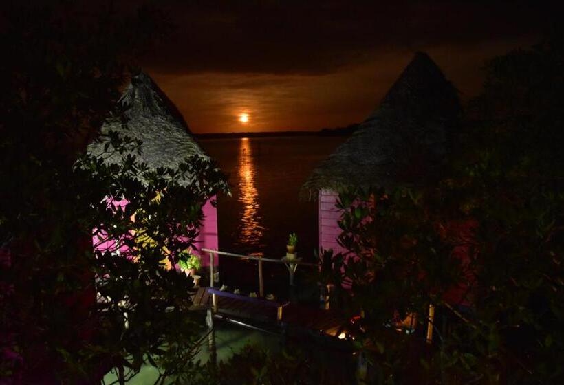 Бунгало Стандарт, Urraca Monkey Island Eco Resort