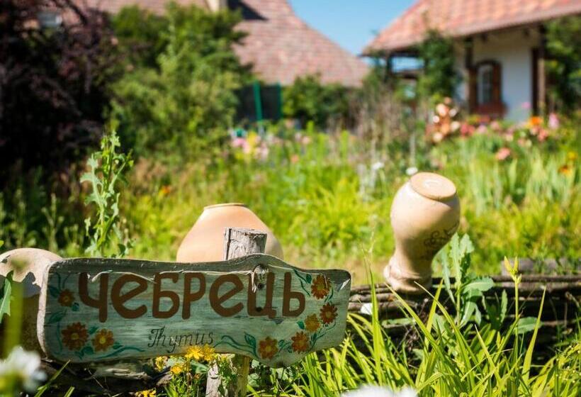 Четырехместный Номер Стандарт, Vesela Sadyba