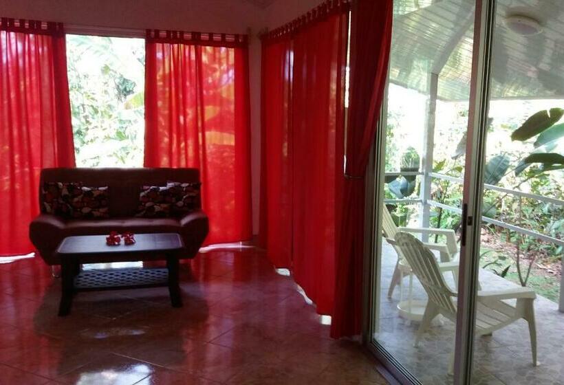 带大床的豪华间, Tropical Paradise Bungalows