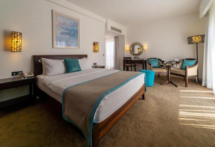 Полулюкс, Arkin Palm Beach