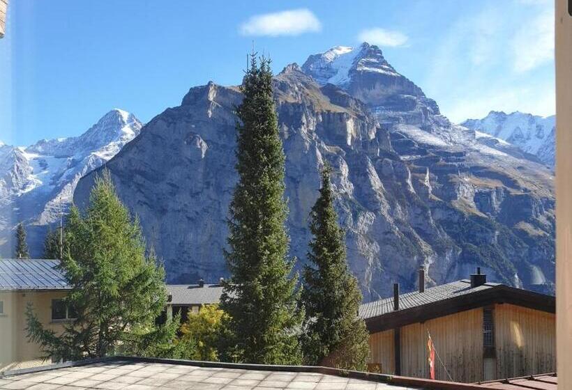 اتاق سوپریور با بالکن, Jungfrau Murren